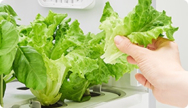 체계적인 관리