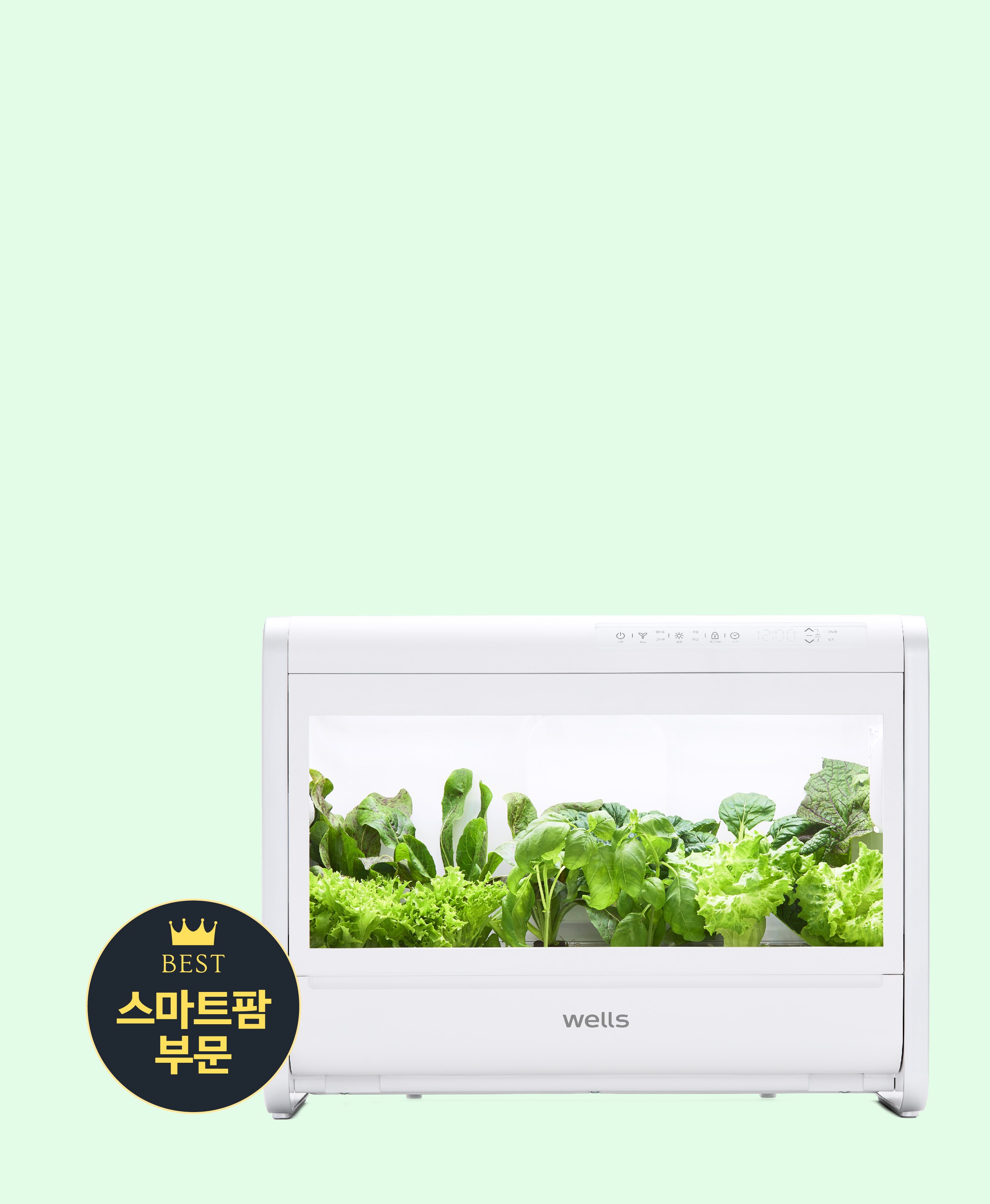 웰스팜 우리 가족 건강 채소 패키지