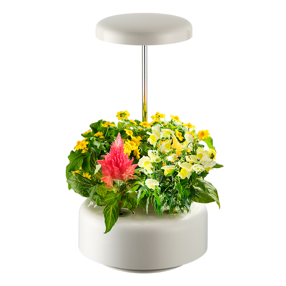 <em class='pcolor'><em class='pcolor'>웰스팜</em></em> 플라워 웰컴 패키지