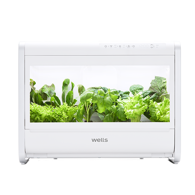 웰스팜 우리 가족 건강 채소 패키지