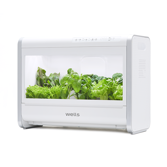 웰스팜 모둠 쌈 상추 패키지