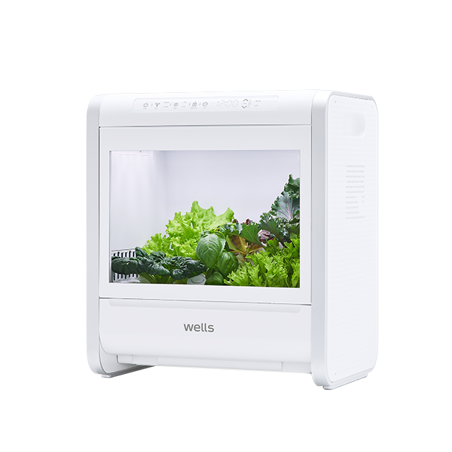 웰스팜 기능성 채소 패키지